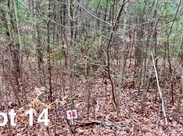 14 Woods Haven Ln, Stuart, VA 24171