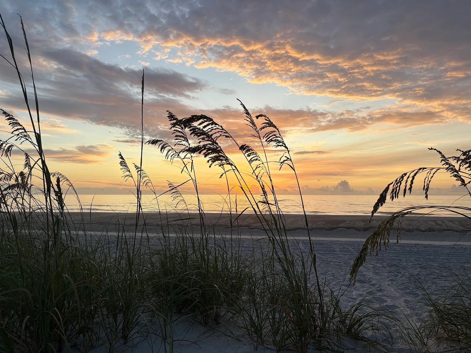 3385 Coastal Hwy — Photo 4