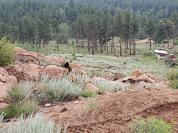 3rd image of 83 Trail Creek Cir