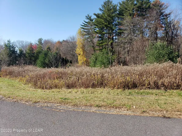 Fawn Dr, Drums, PA 18222