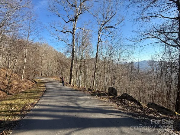 22 Brer Rabbit Trl, Waynesville, NC 28785