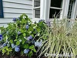 16A Bishop Ave — Photo 19