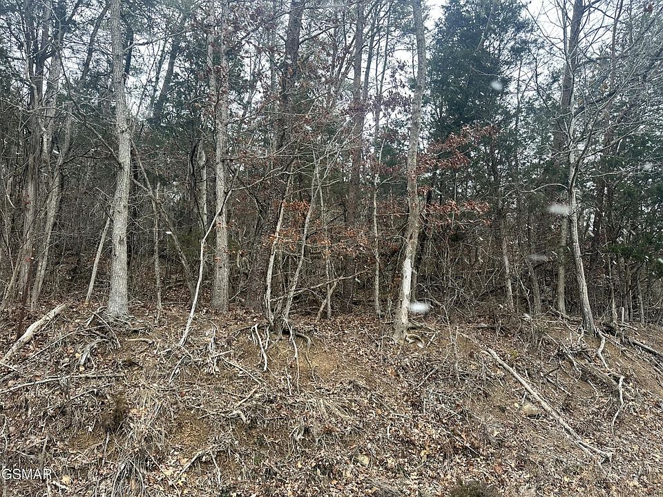 2nd image of 2 N White Pine Rd