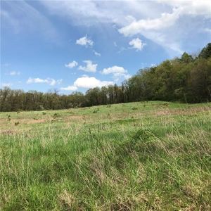 0 Beaver Dam Rd, Little Beaver Twp, PA, 16141
