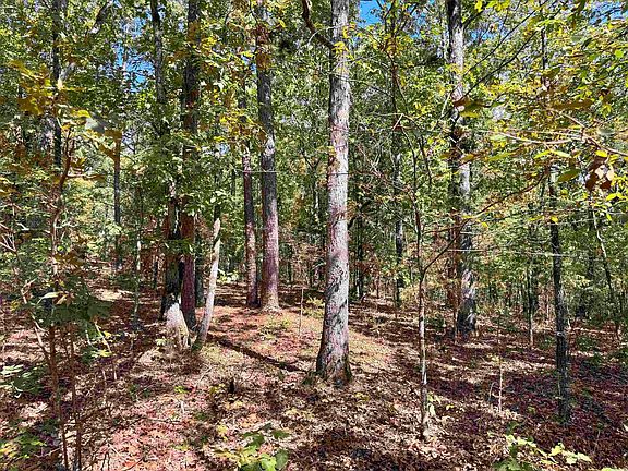 5th image of 1600 Pole Ranch Rd
