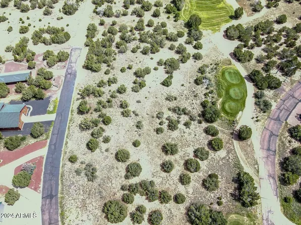 8370 LAKE VIEW Drive #9, Show Low, AZ 85901