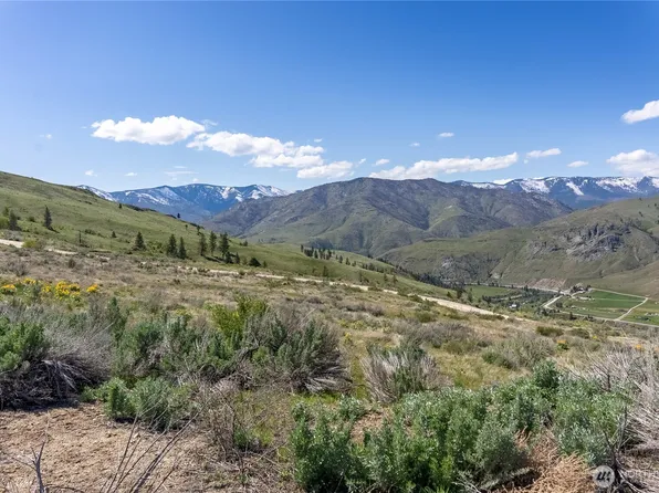 16 Griffin Drive, Methow, WA 98834