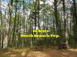 Xxx Belltop Rd, Roscommon, MI 48653