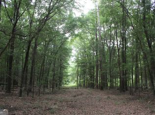 0 S State Route 49 Rd, Oglethorpe, GA 31068