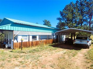 505 Buck Dr, Guffey, CO 80820