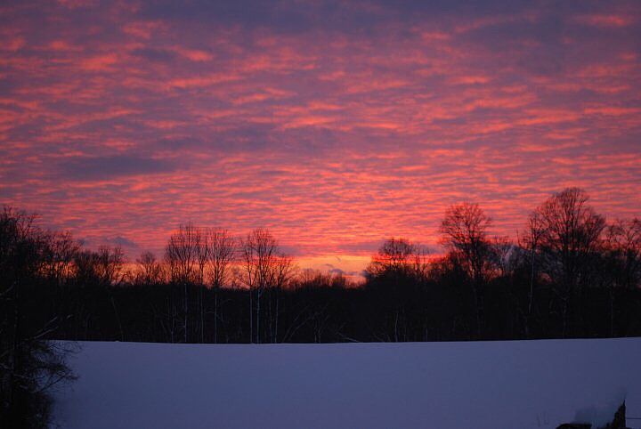 Back yard view