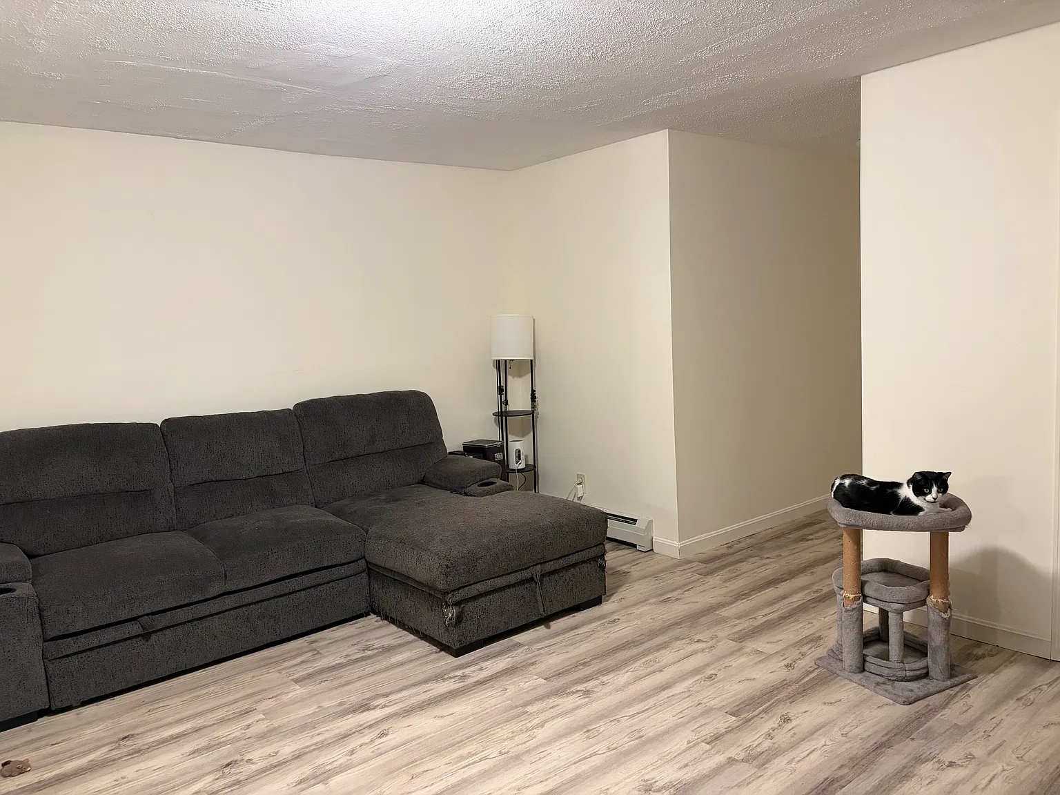 1 bed, 700 sqft, $1,485 — Photo 4