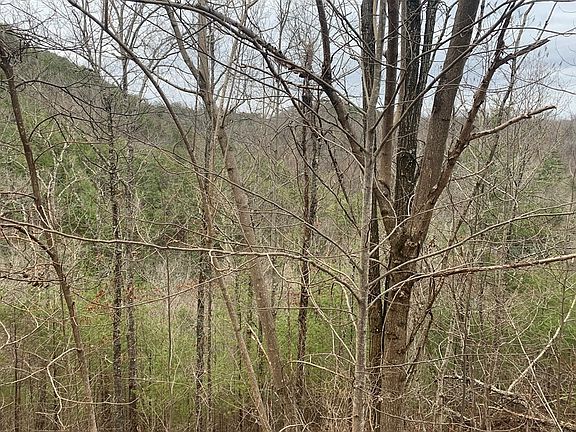 4th image of 97 Black Powder Ln #97E
