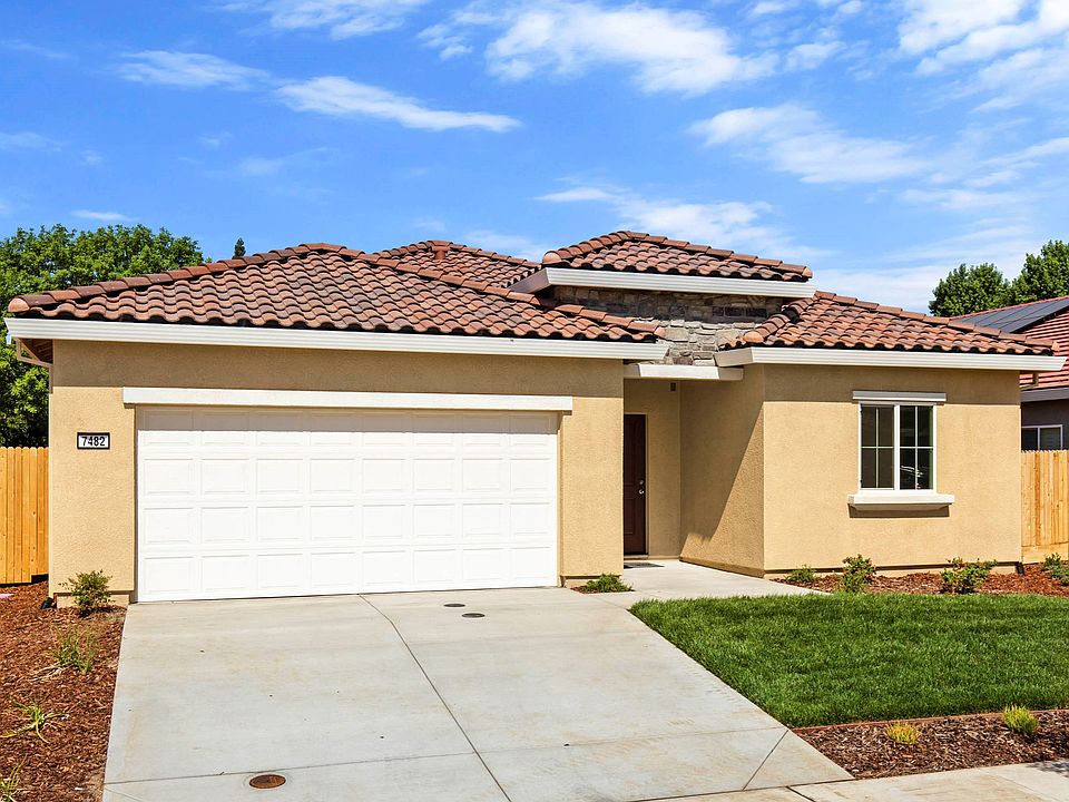 Friesian Italianate C