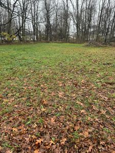 Mulberry St, Vandalia, MI, 49095