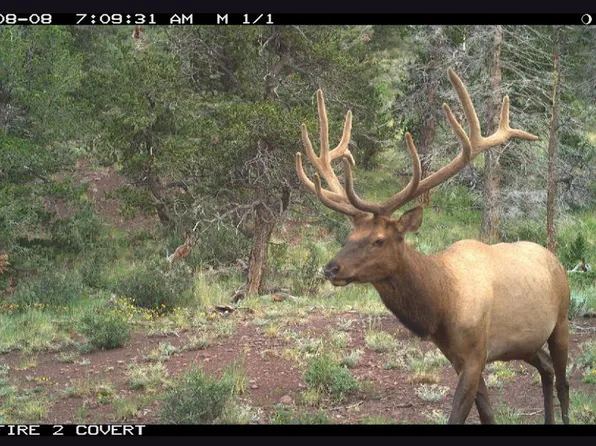 Spanish Peaks Ranch Ests #1, Aguilar, CO 81020