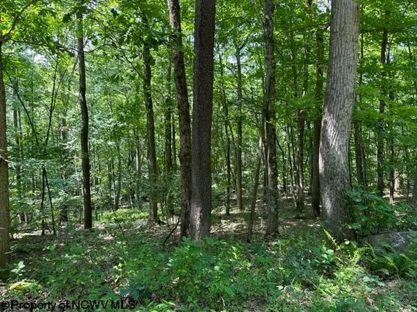 Pine Ridge Rd, Morgantown, WV 26508