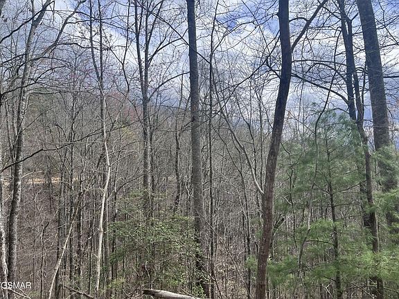 2nd image of 5554-71 Yellowwood Dr