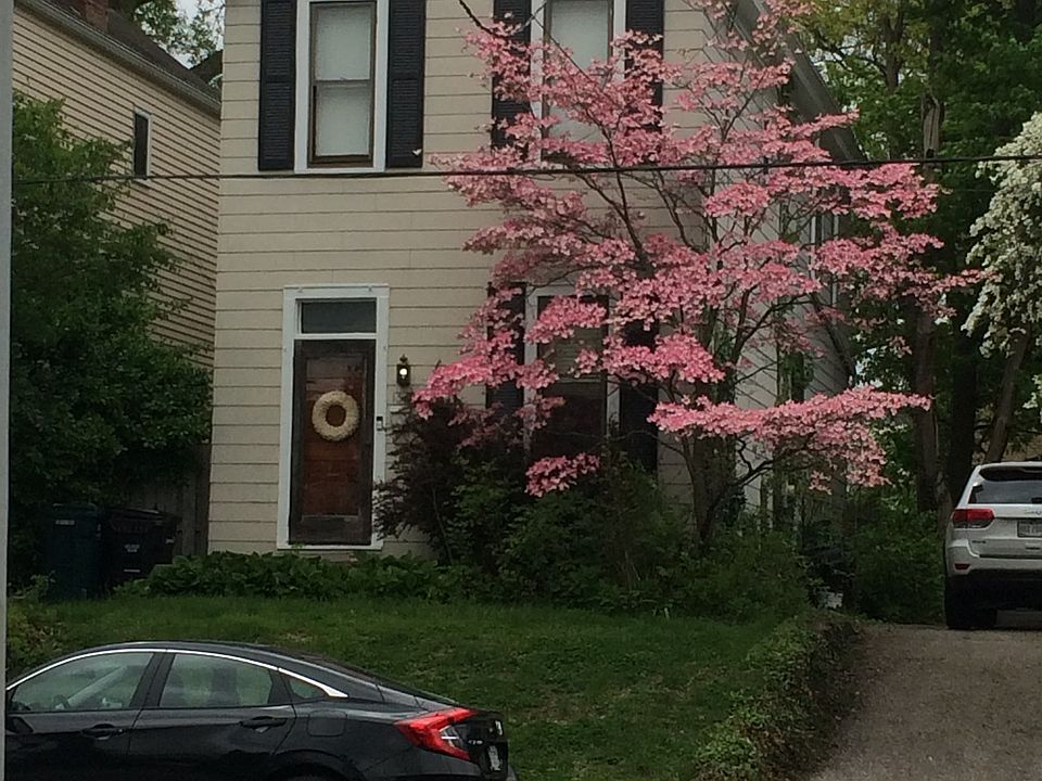 1st image of 1335 Meier Ave