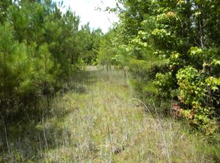 272 Alexander Rd, Yemassee, SC 29945