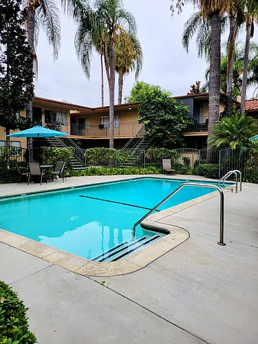 Palm Court Apartments Photo 1