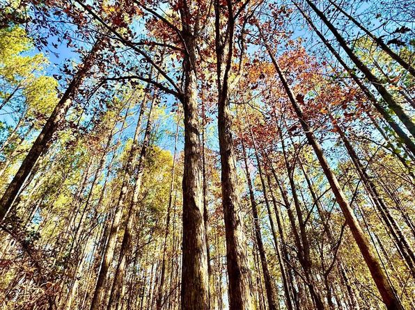 0 Griswoldville Shortcut, Gray, GA 31032