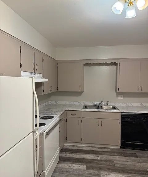 6709 N Standard St #1 — Photo 3