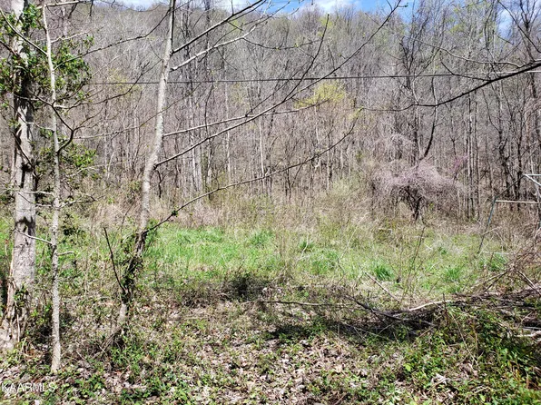 Beans Fork Rd, Middlesboro, KY 40965