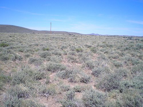 1st image of 391 Stageline Loop