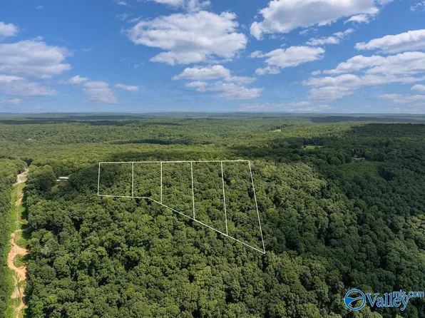 5 County Road 89, Mentone, AL 35984