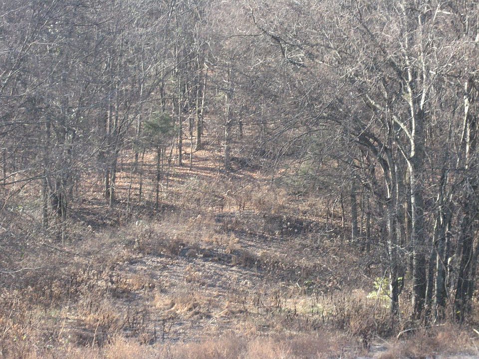 1st image of 6675 Hatcher Ln
