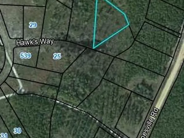 22 Hawks Way, Waynesville, GA 31566