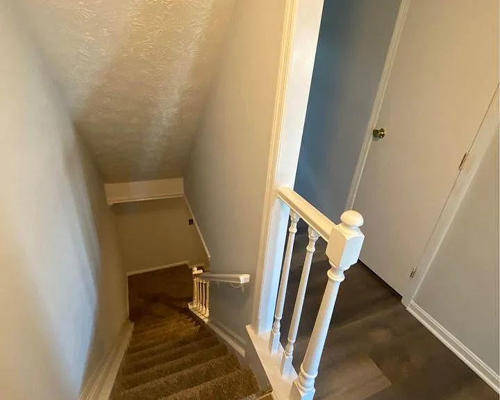 Stairs down to the finished basement, There's a large laundry room with a washer and dryer, pull-down ironing board, clotheslines, and a full wall of cupboards with shelving