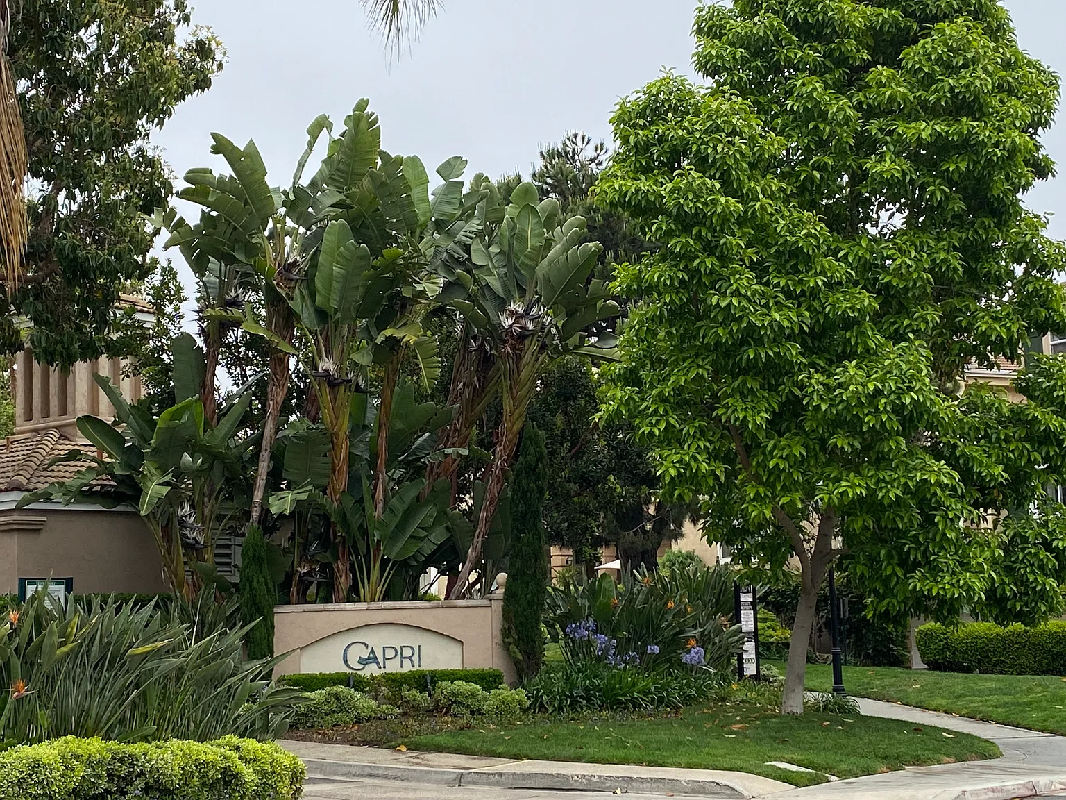 1 bed, 727 sqft, $2,995 — Photo 1