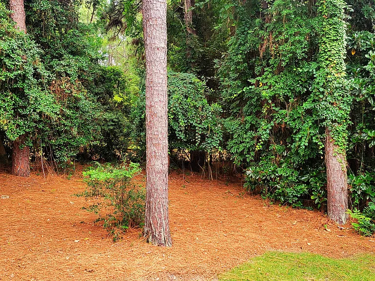 120 Country Club Cir — Photo 71