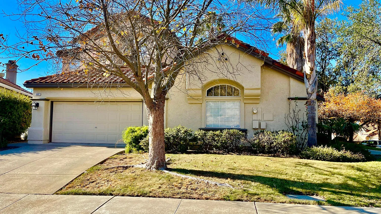 2091 Bluerock Cir photo 1