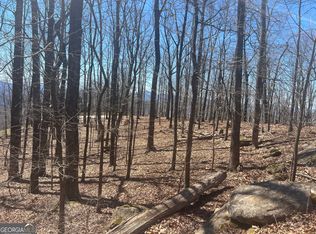 58 Mountainside Ct, Cleveland, GA 30528