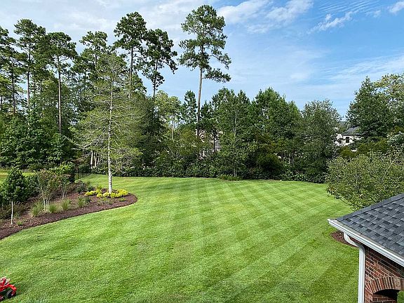 Huge back yard!