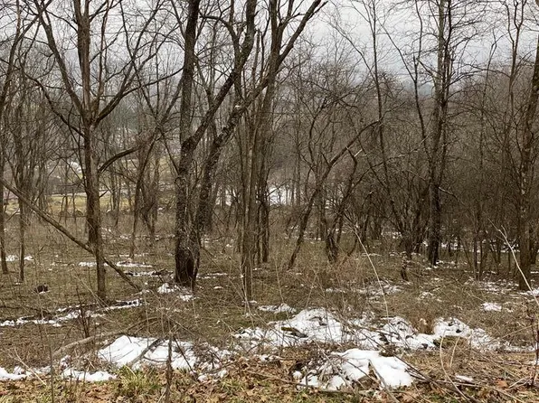 Ridgecrest Dr, North Tazewell, VA 24630