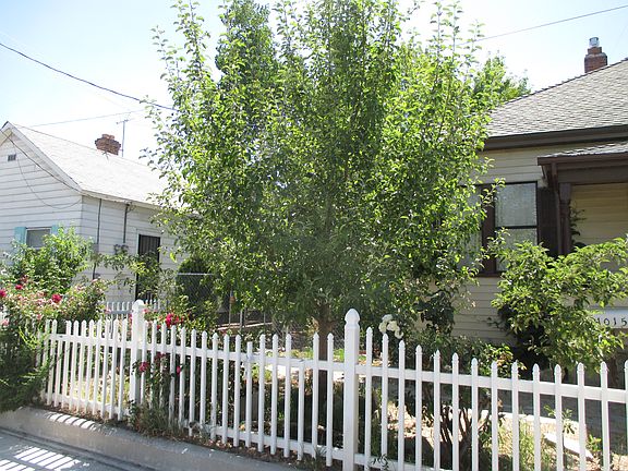 Fruit trees on Valley Road