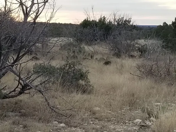 TBD Brando Road, Comstock, TX 78837