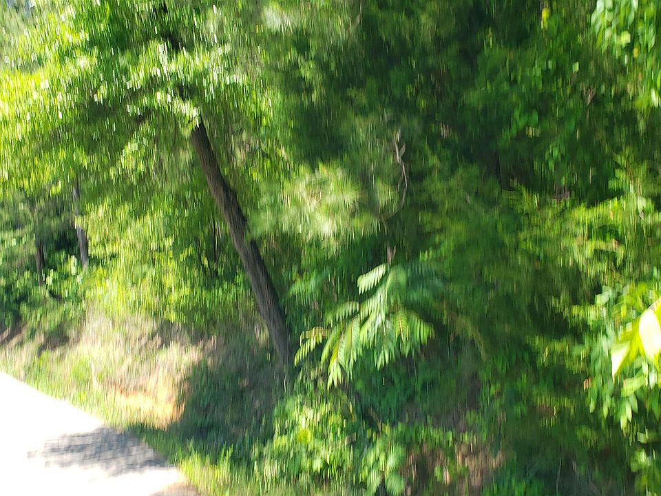 2nd image of Mountain Dr #1