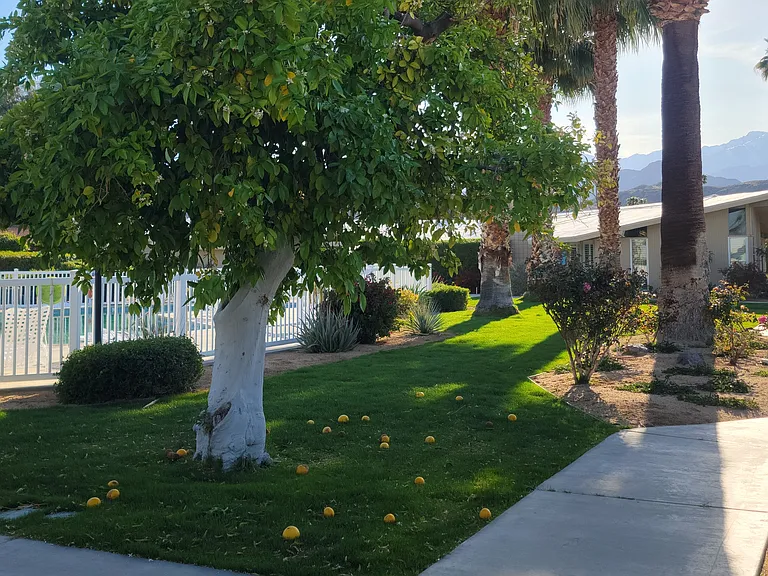 37800 Da Vall Dr #12 — Photo 30