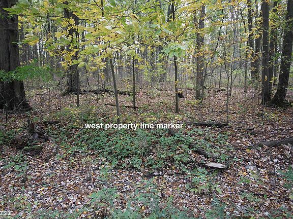2nd image of 0 Dunn Rd