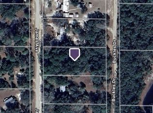 106 James Ave LOT 91, Interlachen, FL 32148