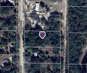 106 James Ave LOT 91, Interlachen, FL, 32148