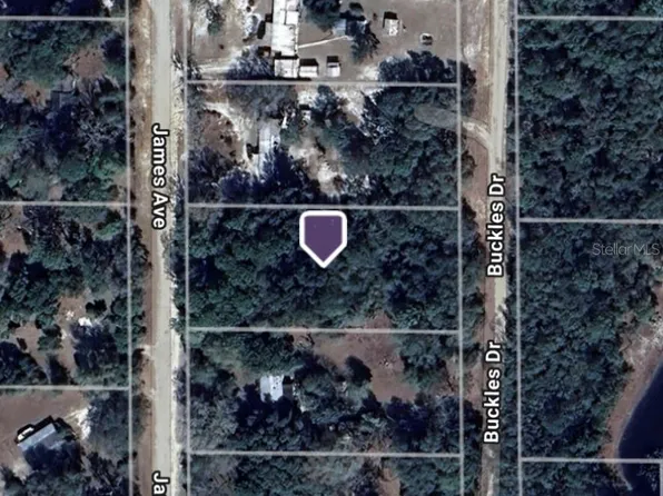 106 James Ave Lot 91, Interlachen, FL 32148
