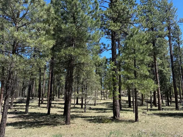 2184 N highway 180 Crossroads #101-46-020N, Alpine, AZ 85920