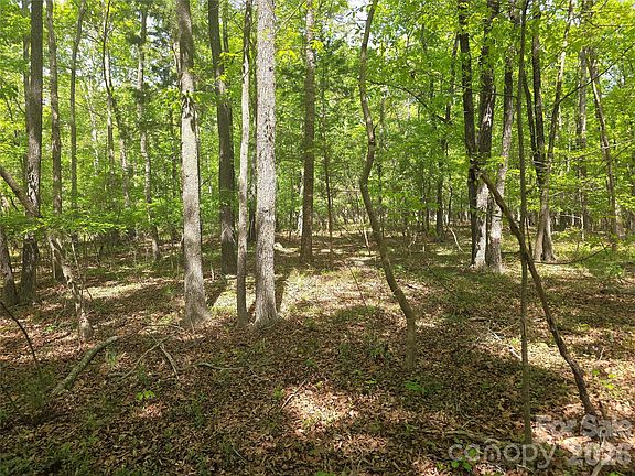 5th image of LOT 5 Wolf Pond Rd