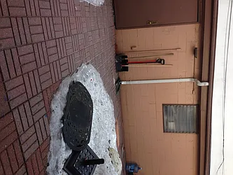 Rented by Elinor Taasa, LREB